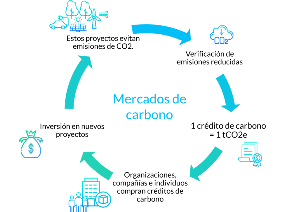 Icono Construcción Tradicional